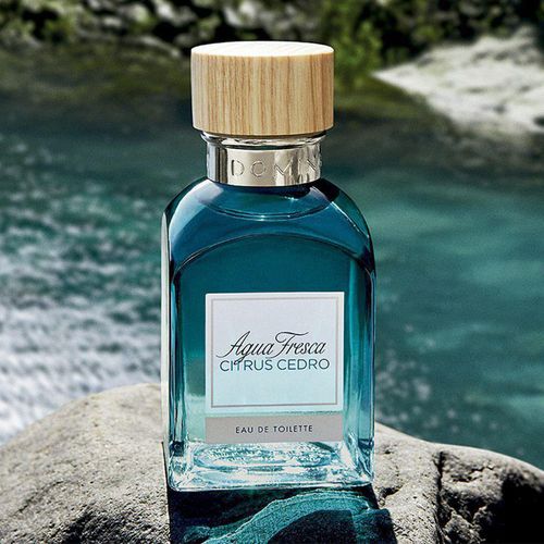 Perfume Adolfo Dominguez Água Fresca Citrus Cedro  Eau de Toilette  120ml - Masculino
