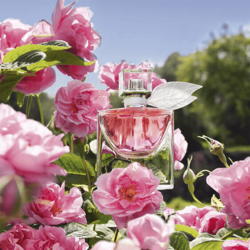 perfume-lancome-la-vie-est-belle-domaine-rose-edp--2-