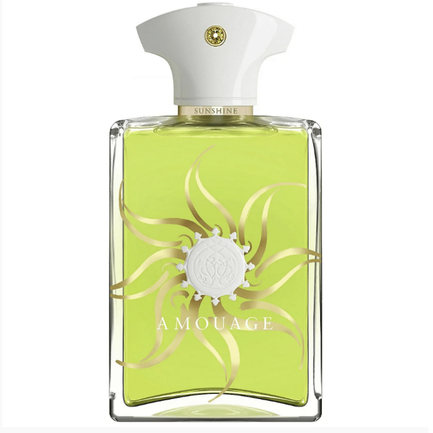アムアージュ　サンシャイン AMOUAGE SUNSHINE 100ml Perfume Amouage Sunshine for Man EDP Masculino