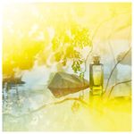 perfume-le-jardin-de-monsieur-li-hermes-edt-100ml-unissex--4-