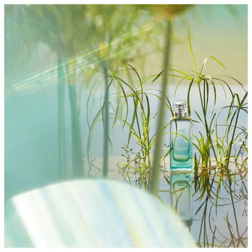 Un Jardin Sur Le Nil Hermès Eau de Toilette 50ml - Perfume Unissex